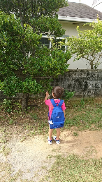 12日・かめ公園に遠足！